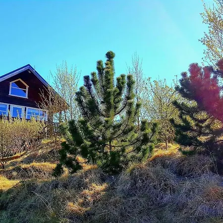 Cottage With Glass Bubble And Hot Tub Reykholt  Exterior foto